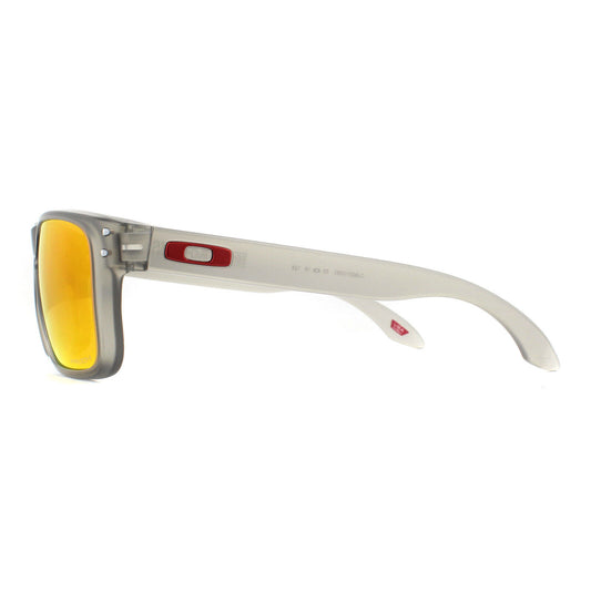 Gafas de sol Holbrook
